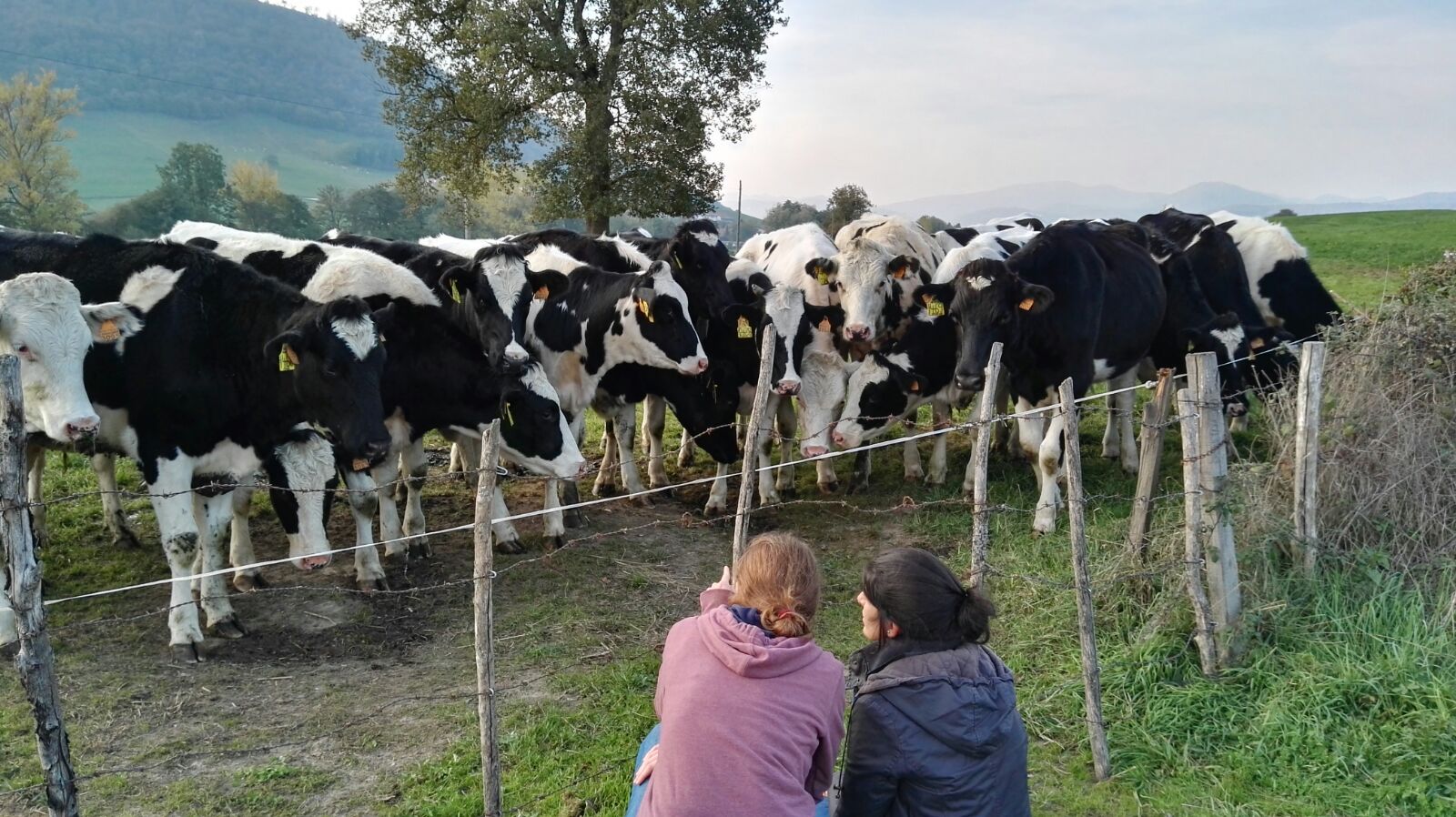 2016-11-01-photo-00003588